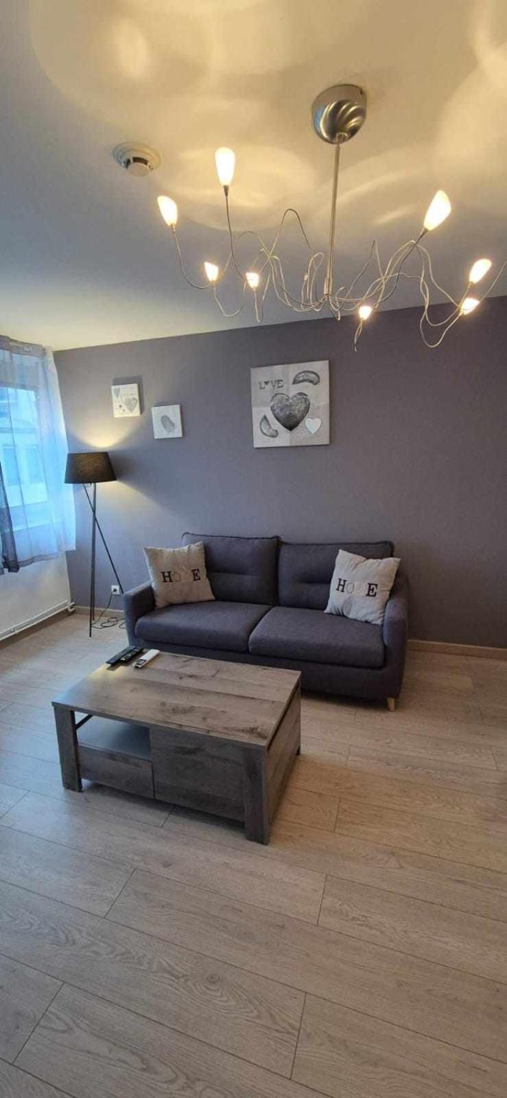 Nouveau !! Appartement Confortable Totalement Renove Avec Parking Gratuit - Hypercentre De Nancy Kültér fotó