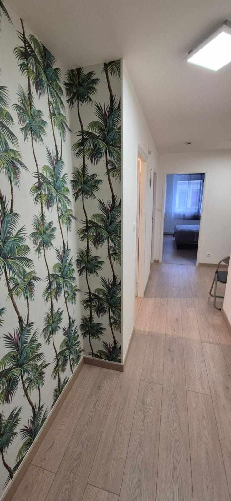 Nouveau !! Appartement Confortable Totalement Renove Avec Parking Gratuit - Hypercentre De Nancy Kültér fotó